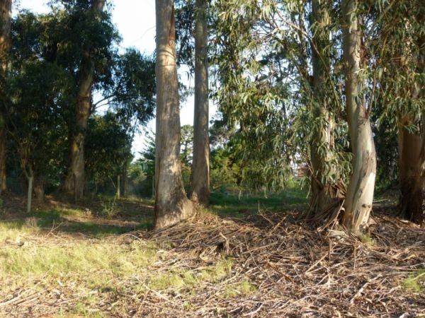 OPORTUNIDAD por TIEMPO LIMITADO. Ingrese al club de primera fila sobre Cancha de Golf !